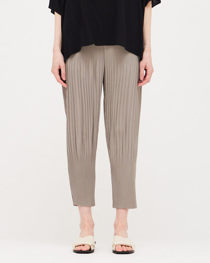 PLEATED PANTS